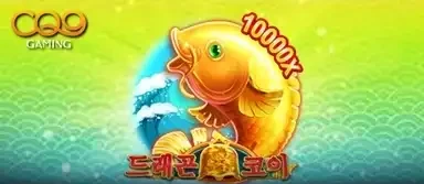 드래곤 코이