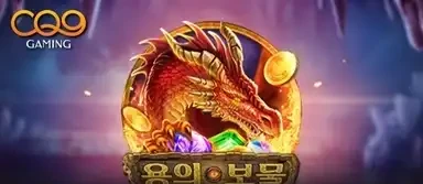 드래곤즈 트레져