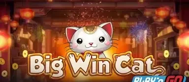 빅 윈 캣