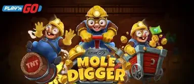몰 디거
